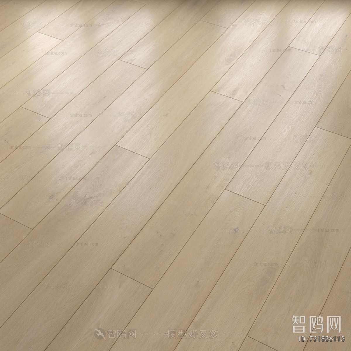 Modern Floor