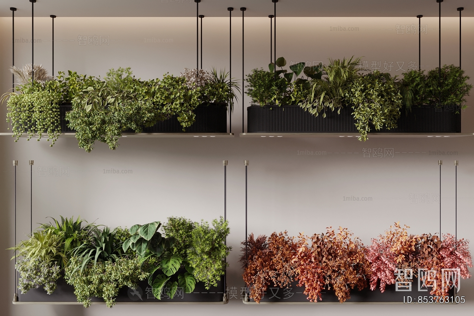 Modern Potted Green Plant
