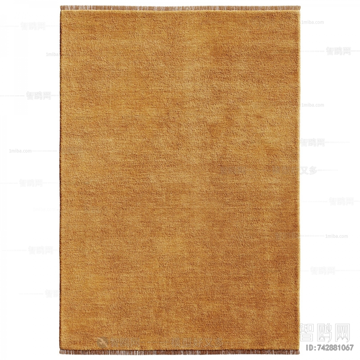 Modern The Carpet