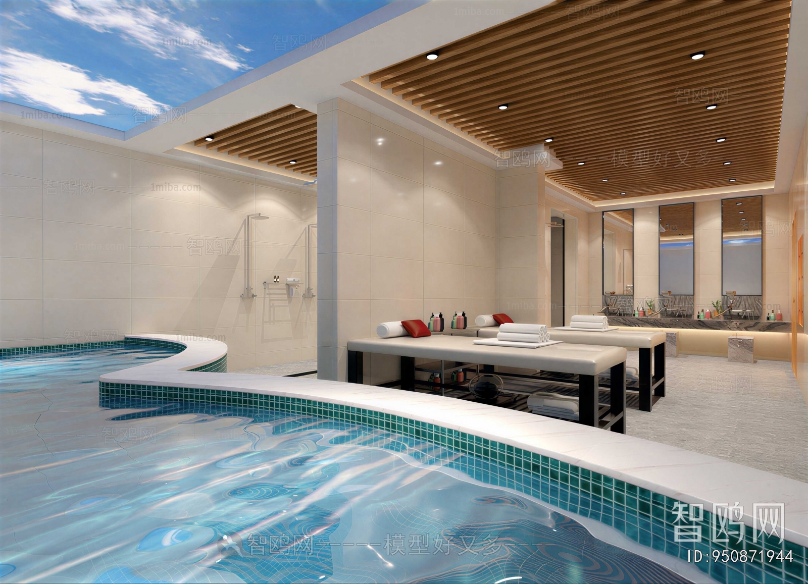 Modern Natatorium