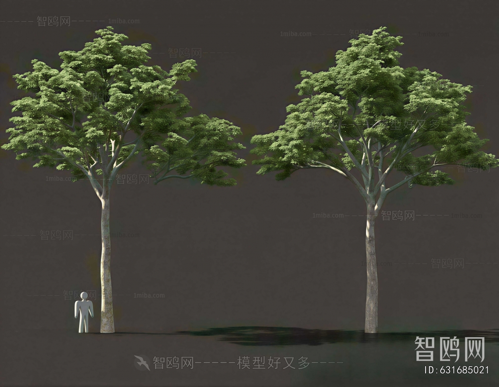 Modern Tree