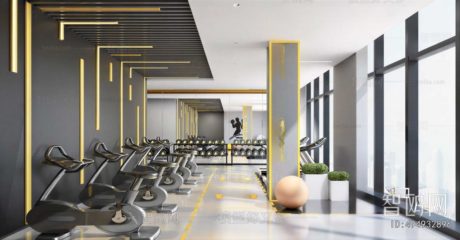 Modern Gym