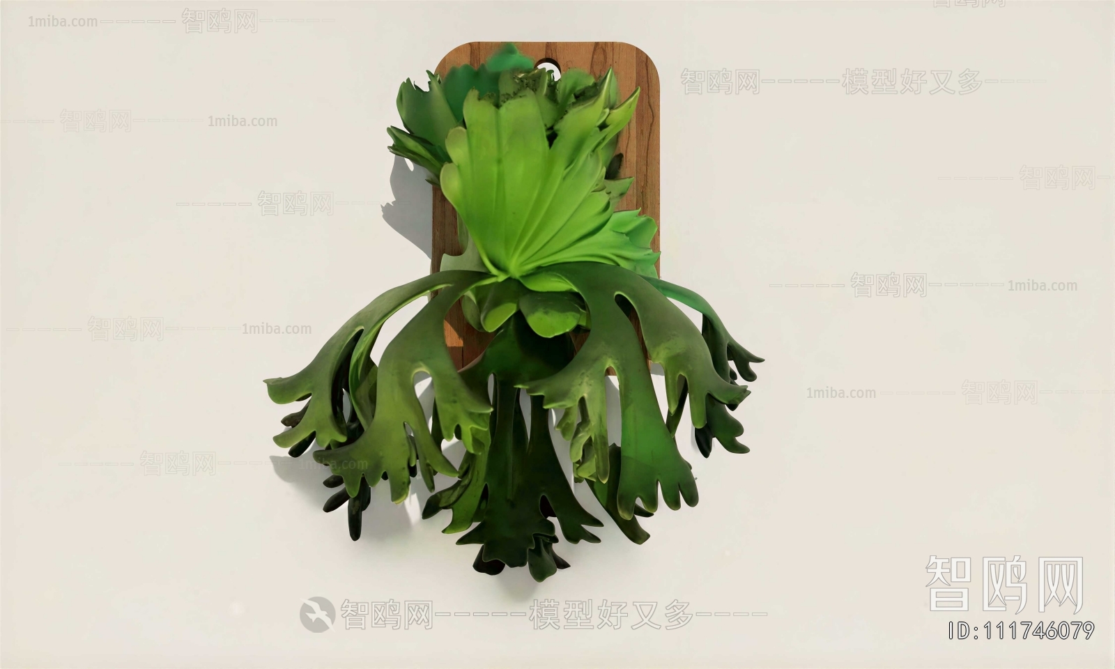 Modern Potted Green Plant