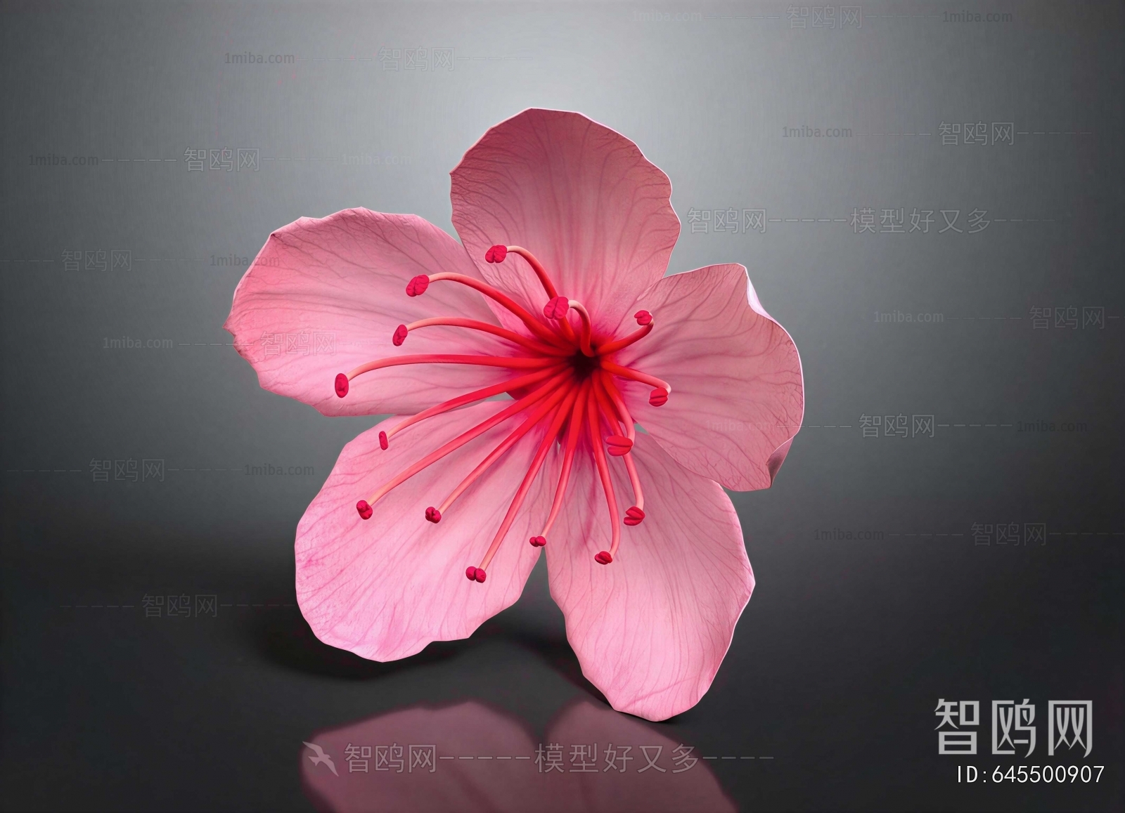 Modern Flowers And Grass