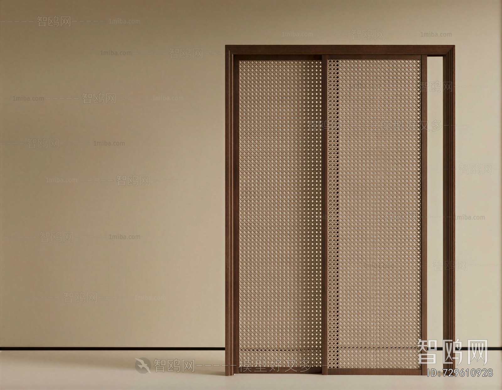 Modern Sliding Door