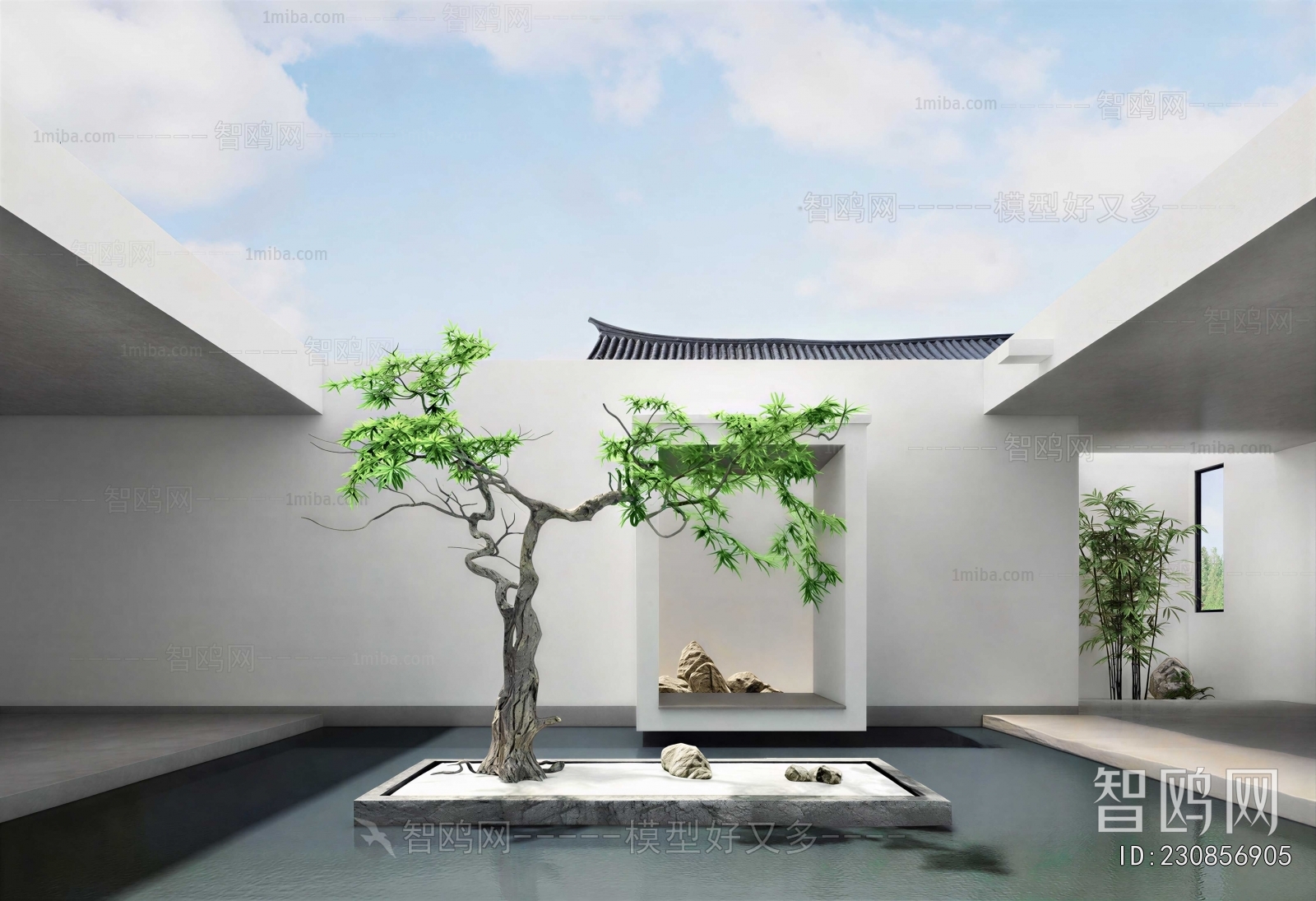 Modern Courtyard/landscape