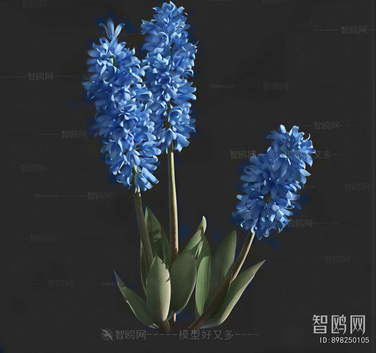Modern Flowers And Grass