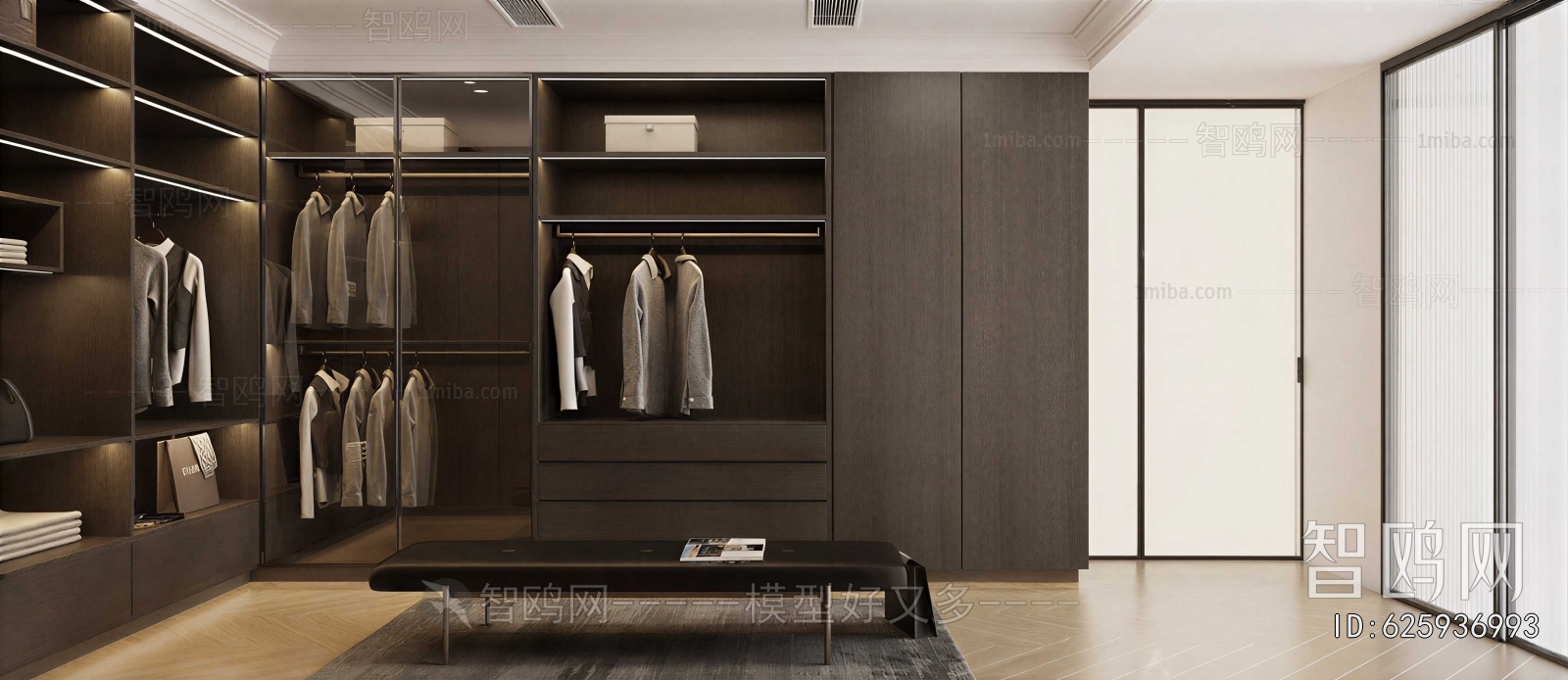 Modern Clothes Storage Area