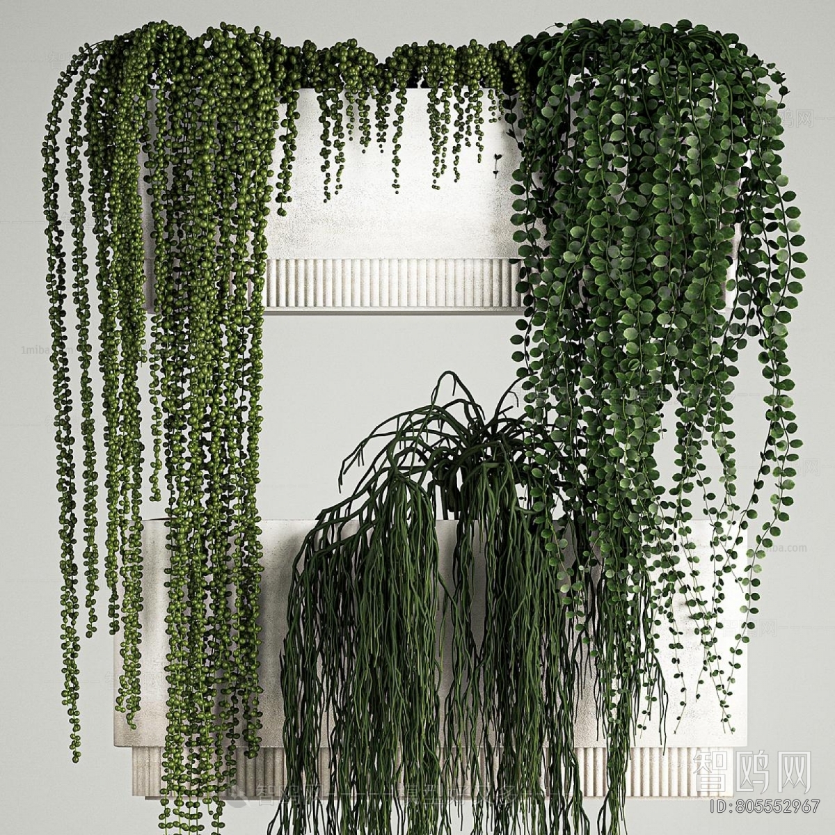 Modern Potted Green Plant