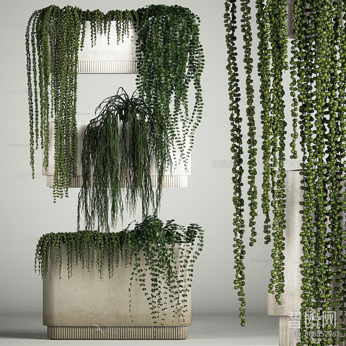 Modern Potted Green Plant