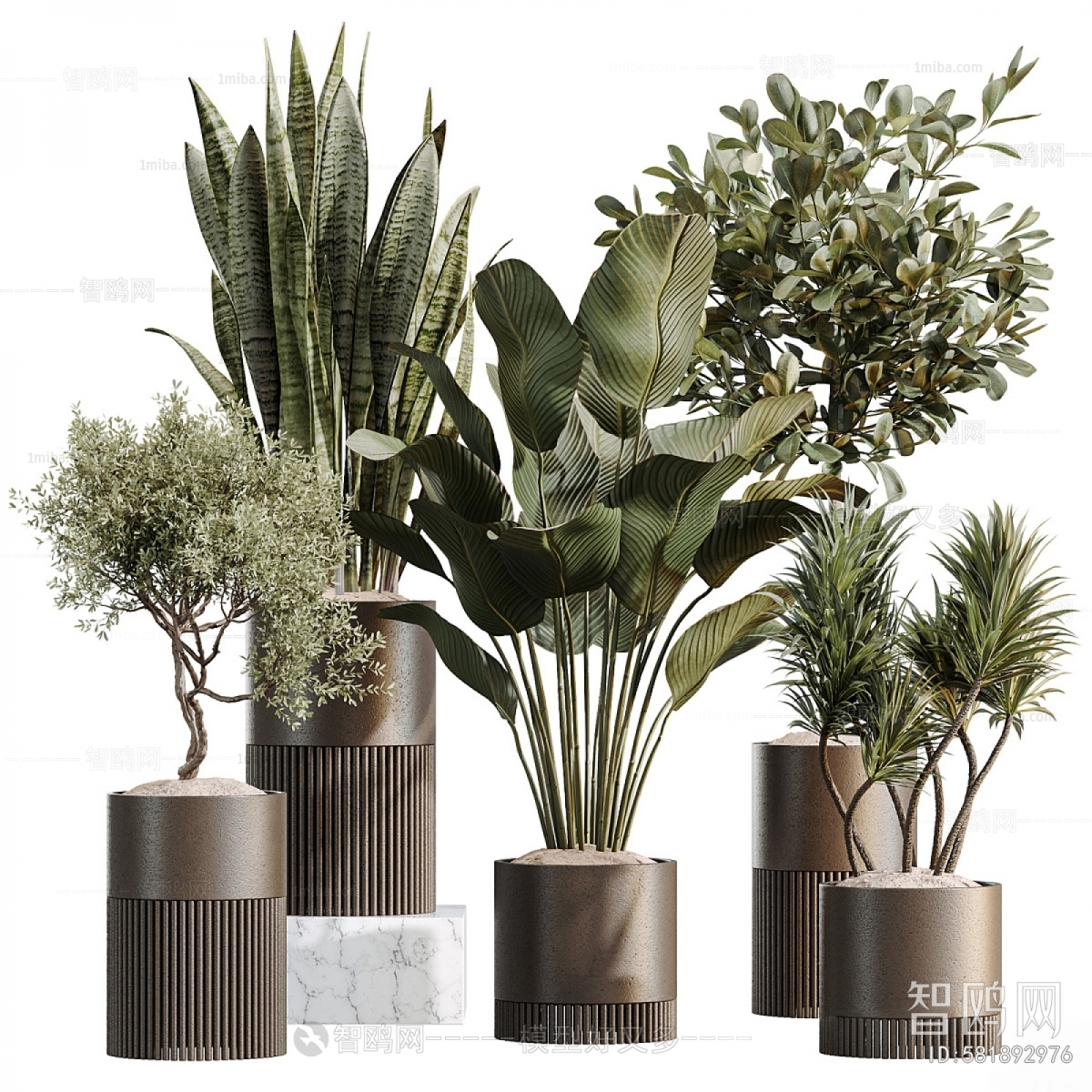 Modern Ground Green Plant Potted Plants