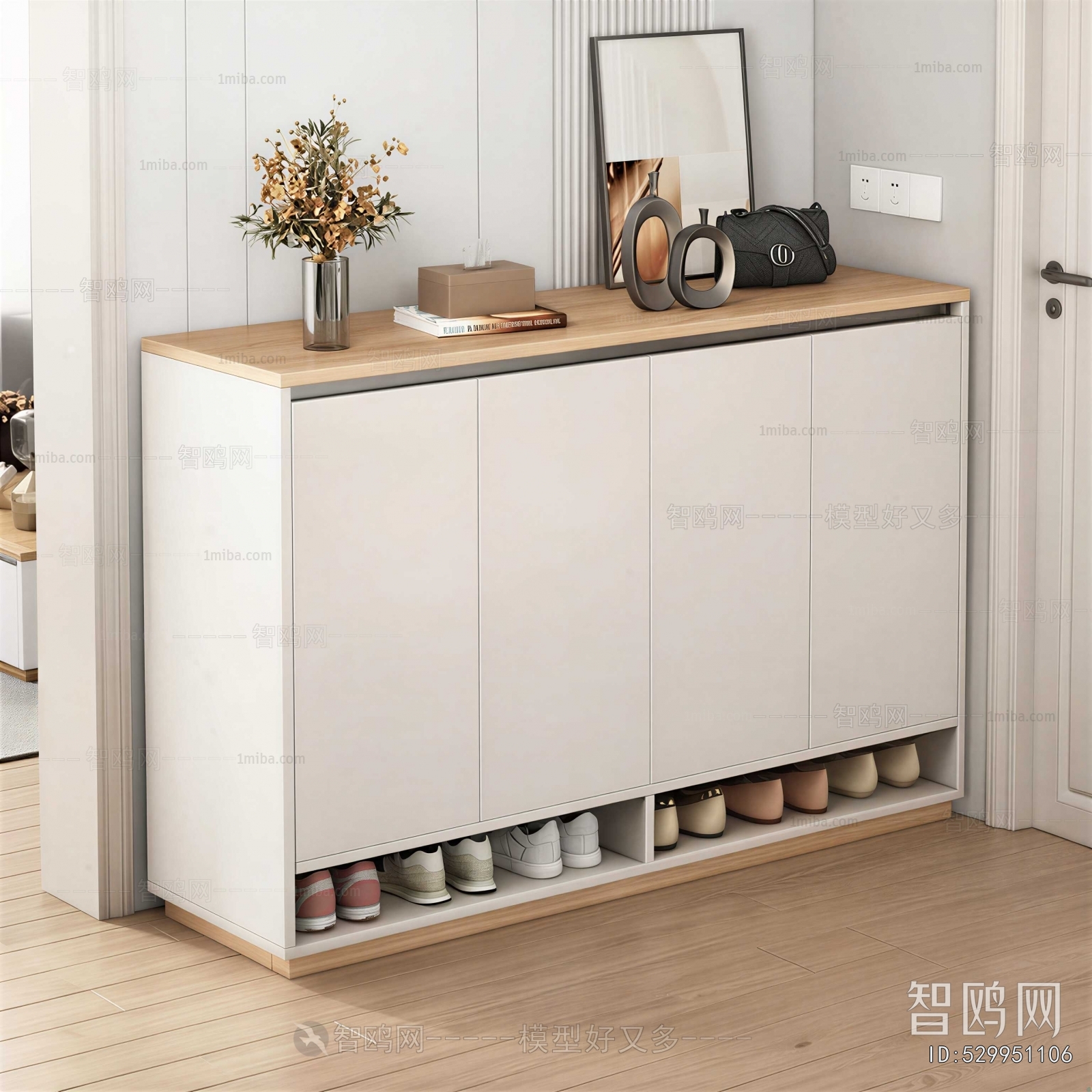 Modern Shoe Cabinet
