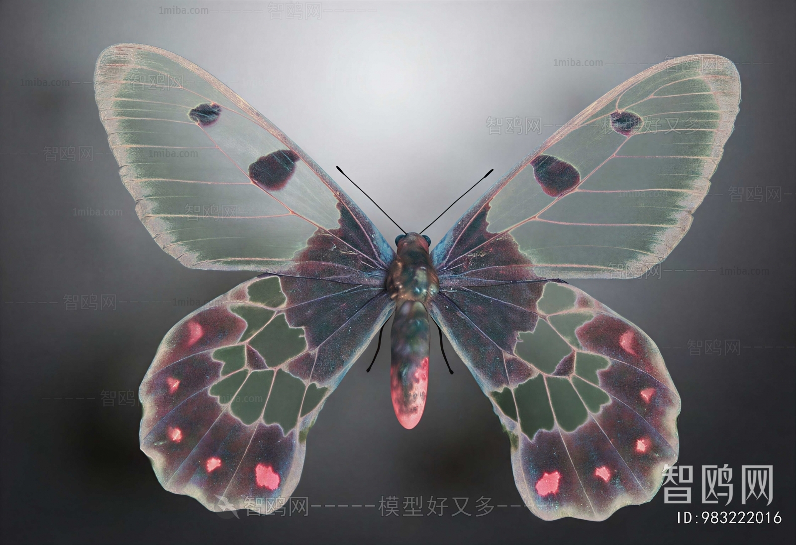 Modern Other Animals