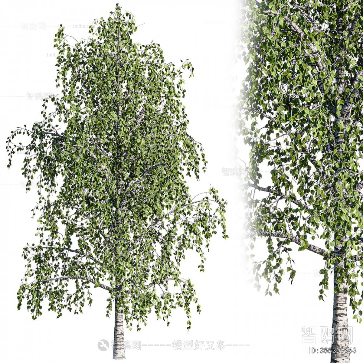 Modern Tree