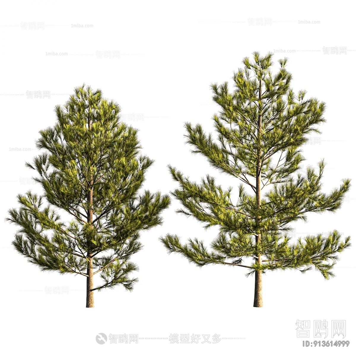 Modern Tree