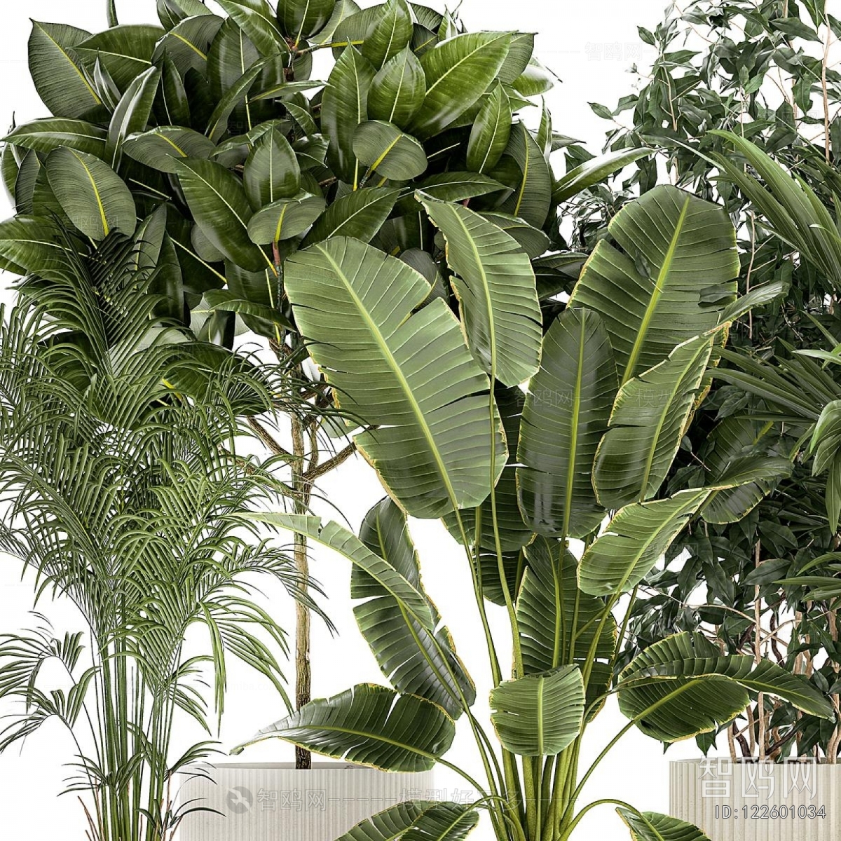 Modern Potted Green Plant