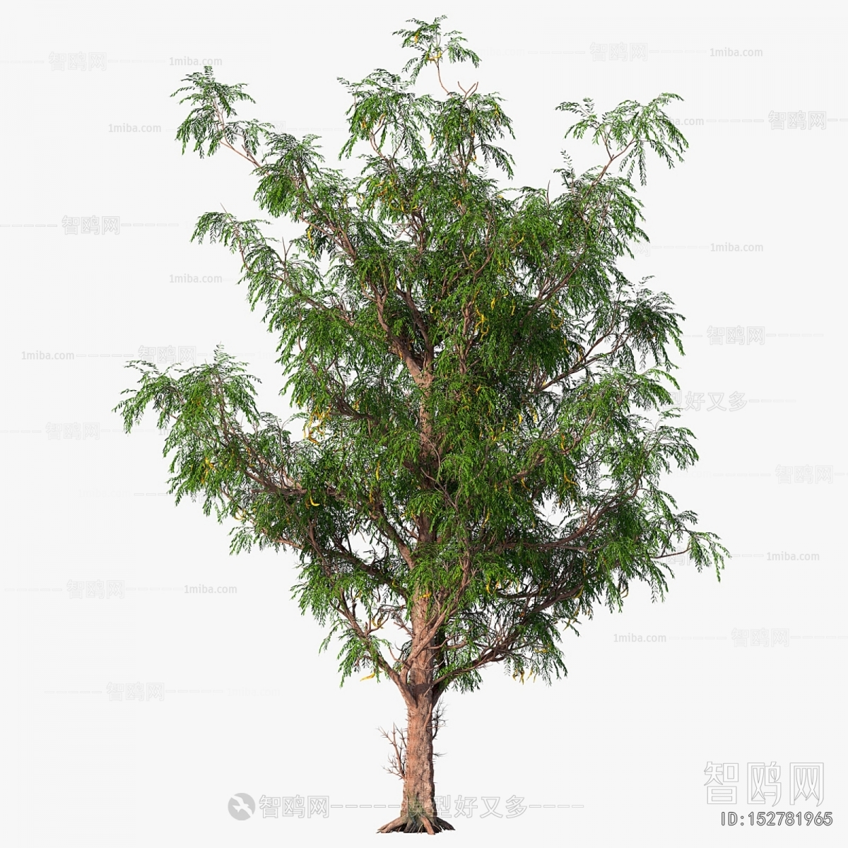 Modern Tree
