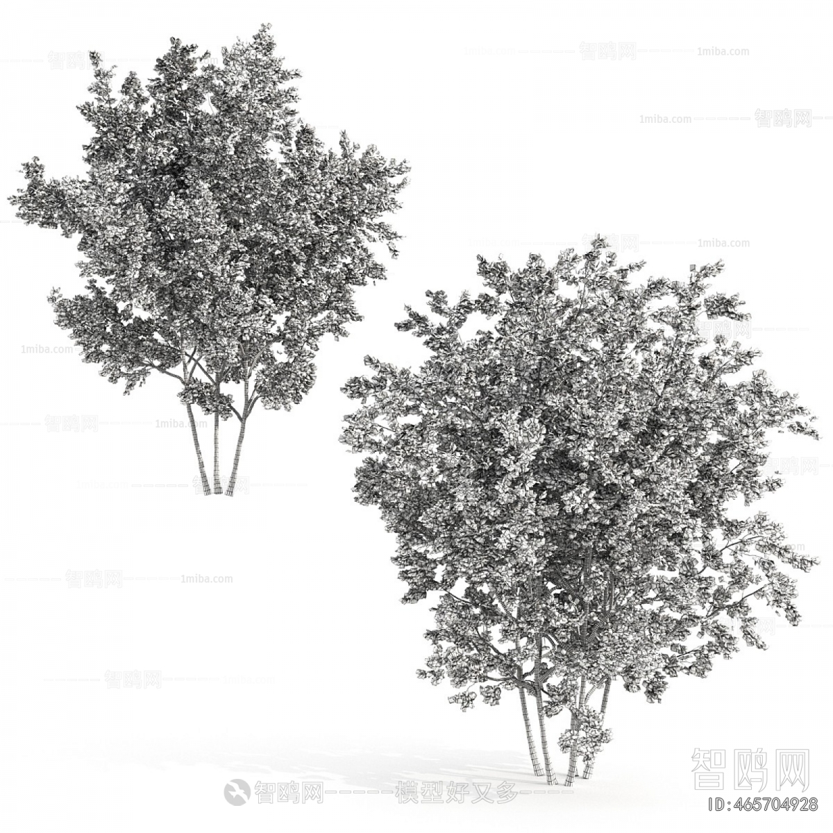 Modern Shrubbery