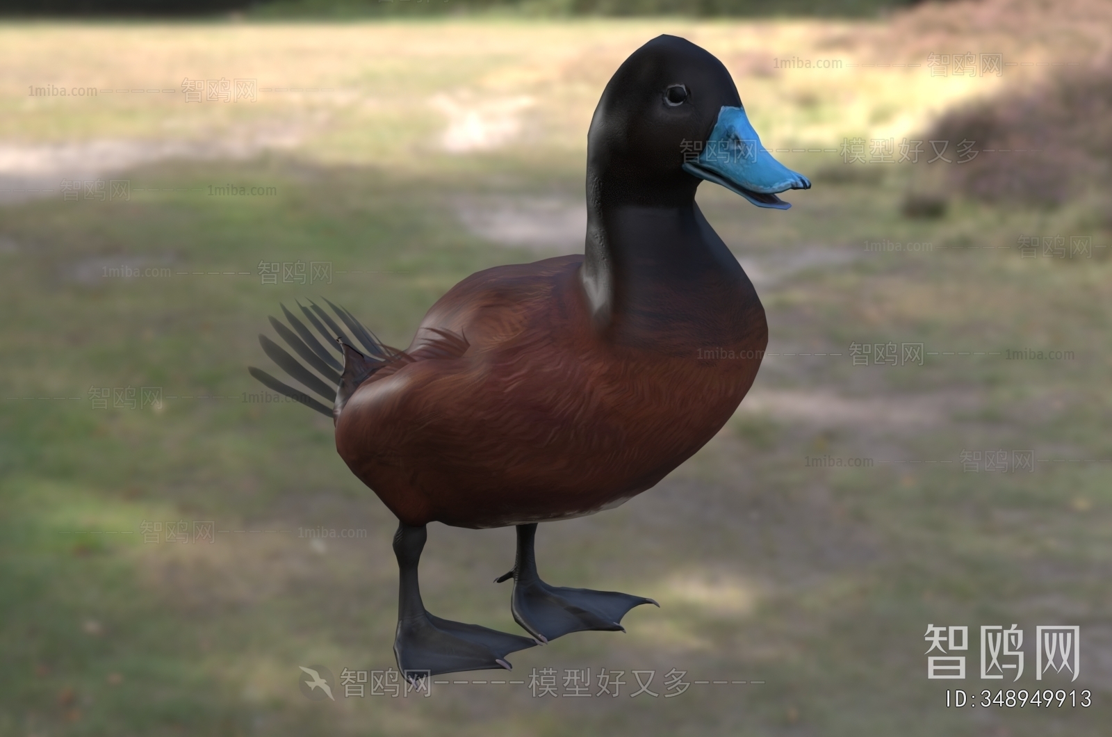 Modern Poultry Animal