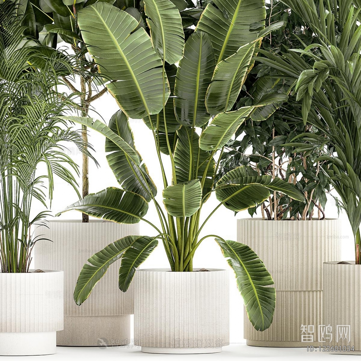 Modern Potted Green Plant
