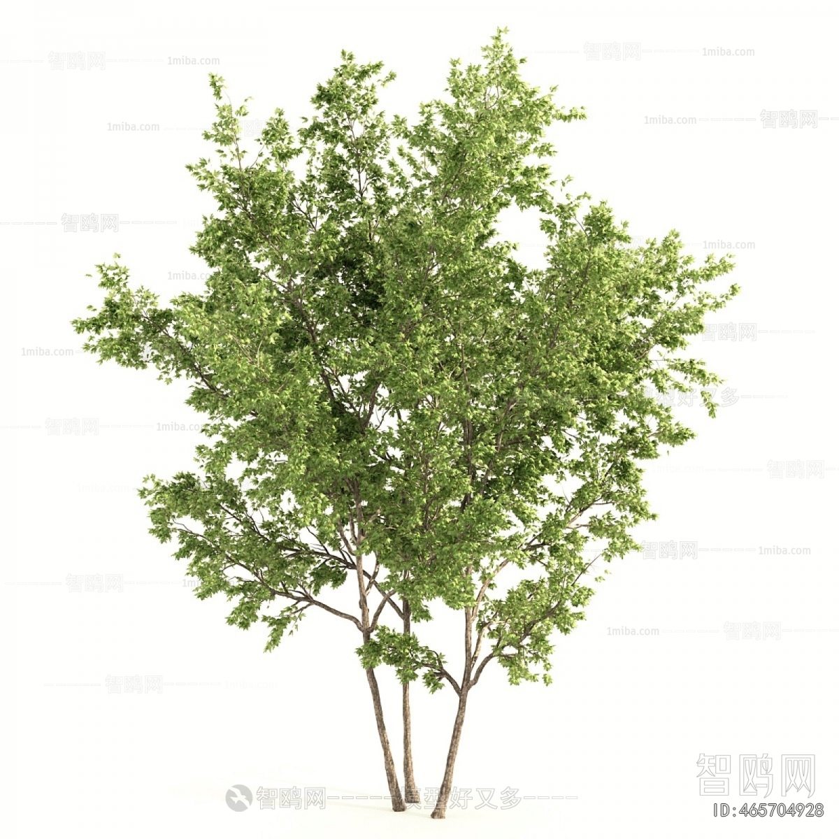 Modern Shrubbery