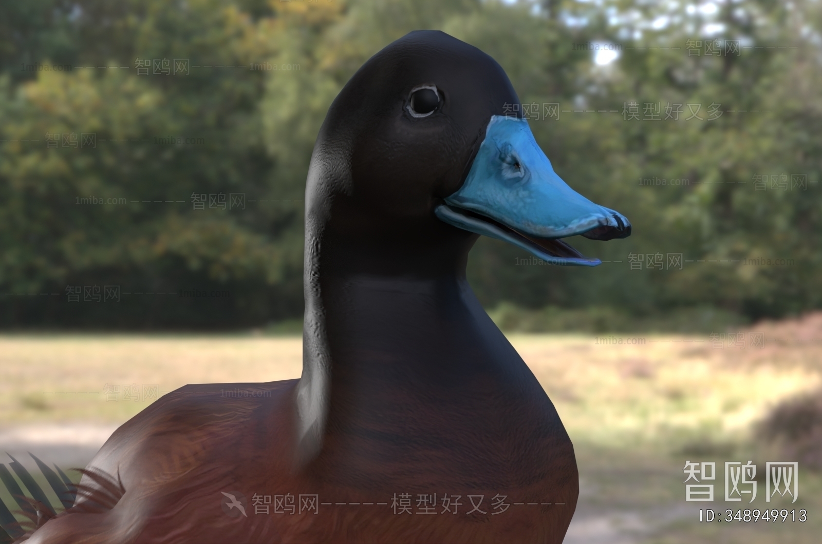 Modern Poultry Animal