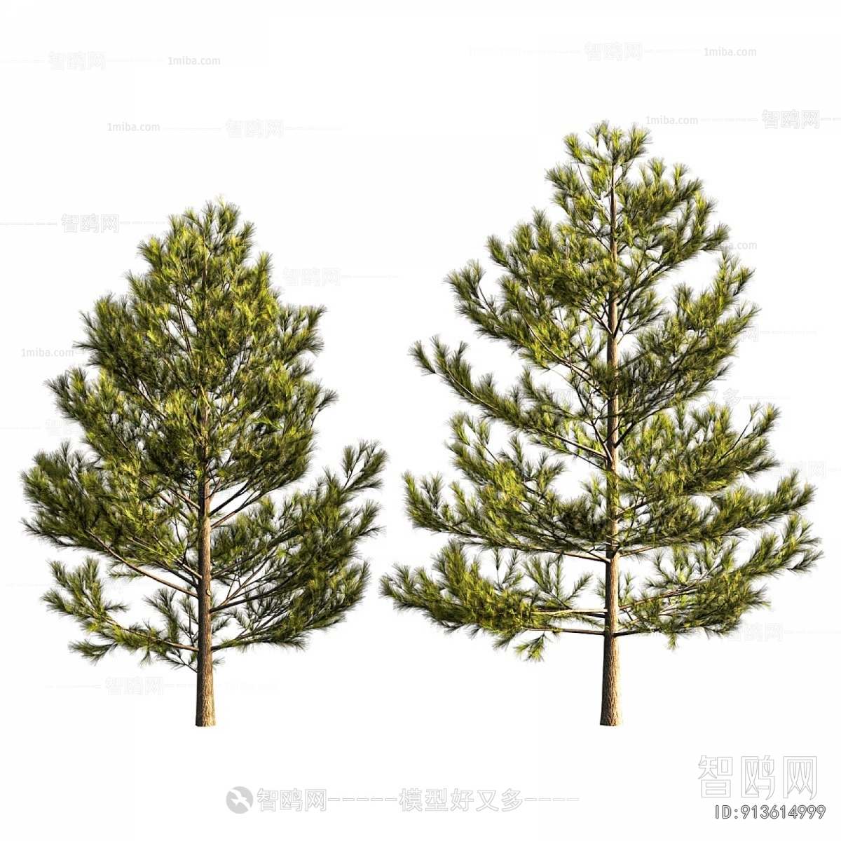 Modern Tree