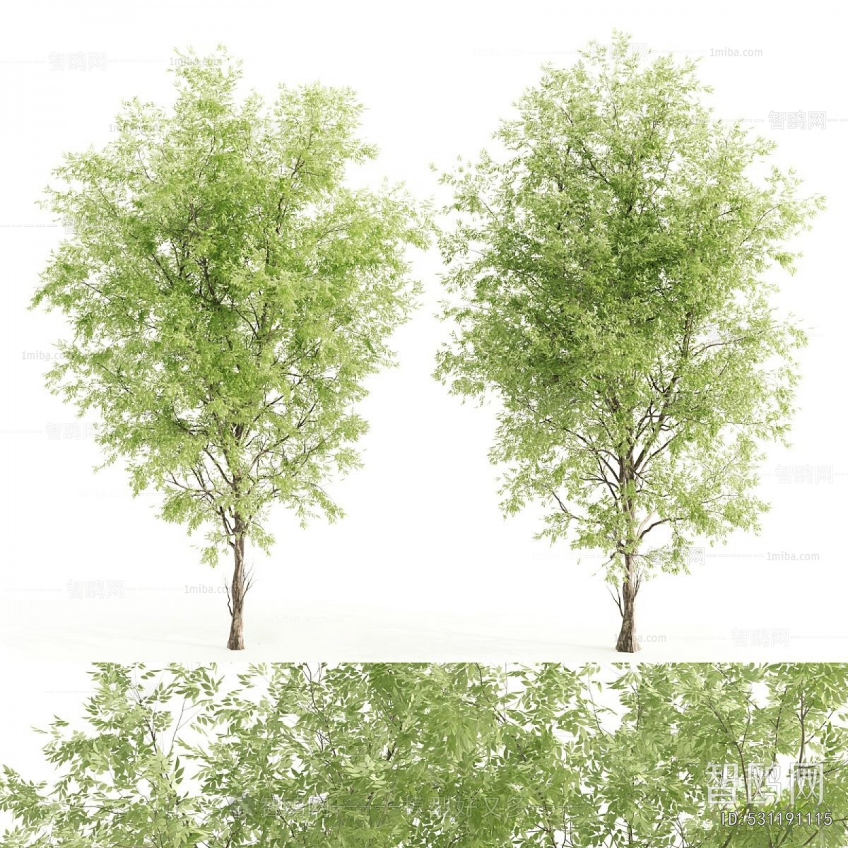 Modern Shrubbery