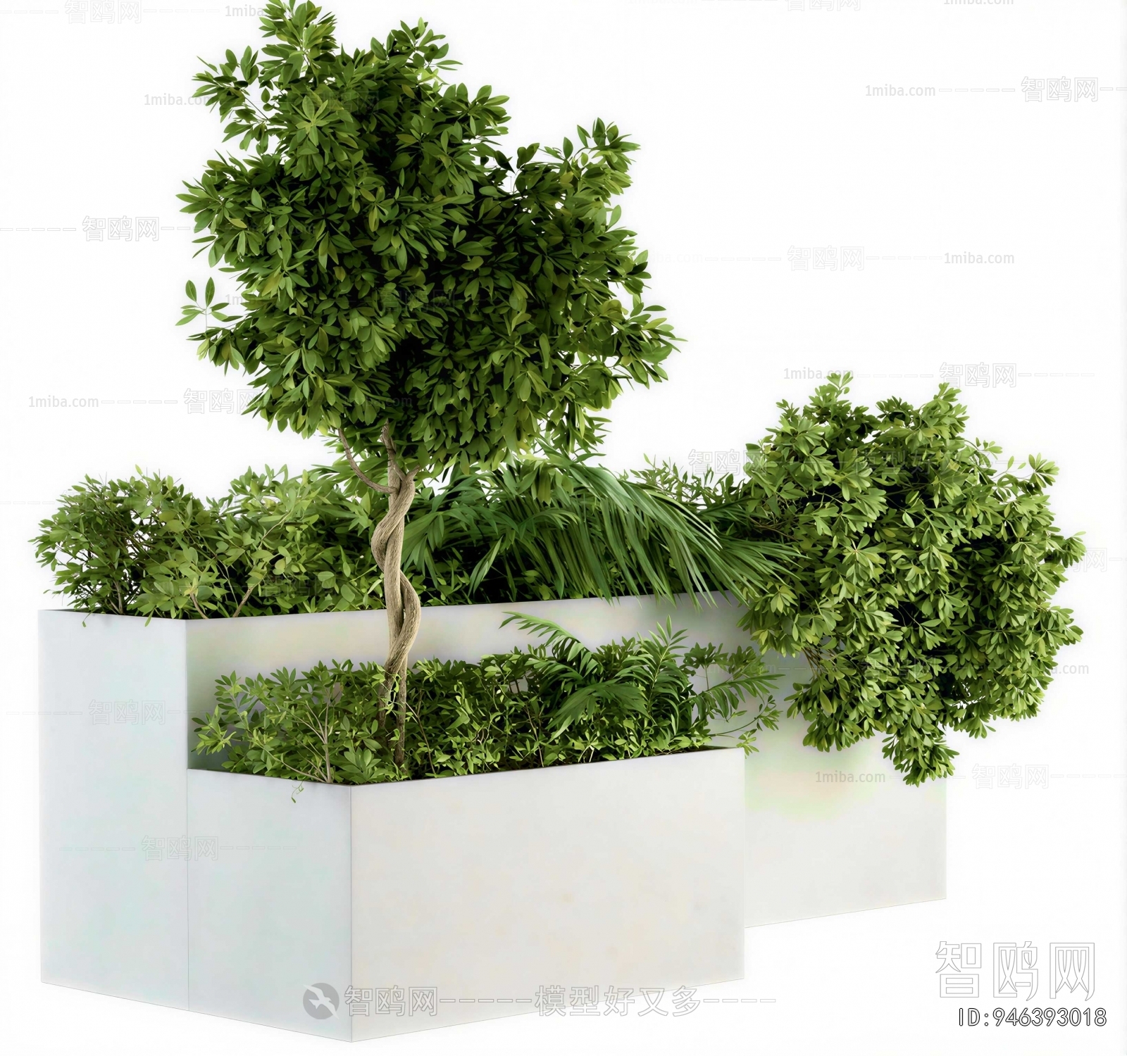 Modern Shrubbery