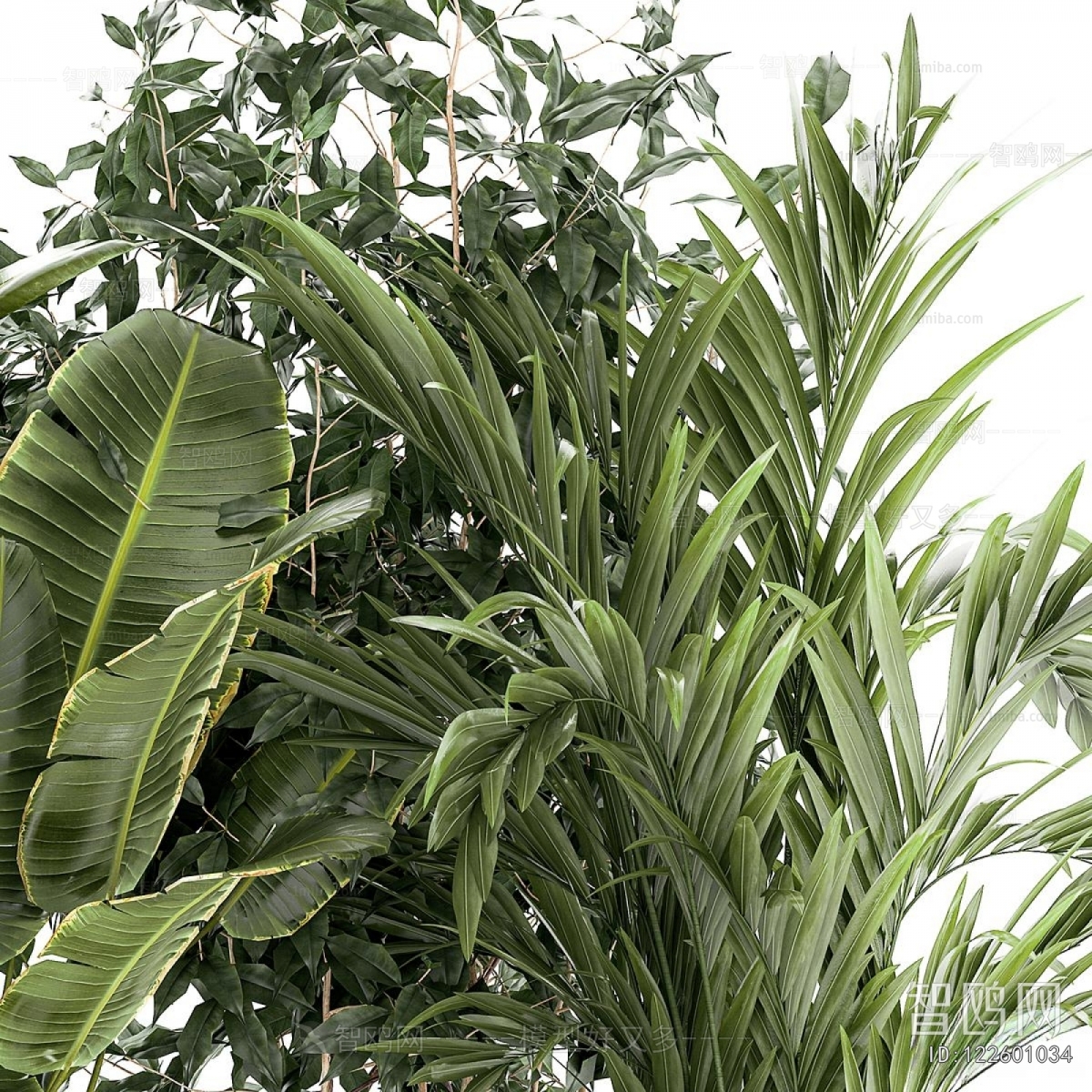 Modern Potted Green Plant