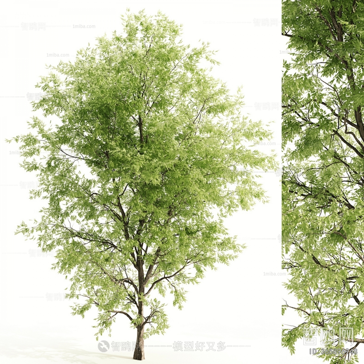 Modern Tree