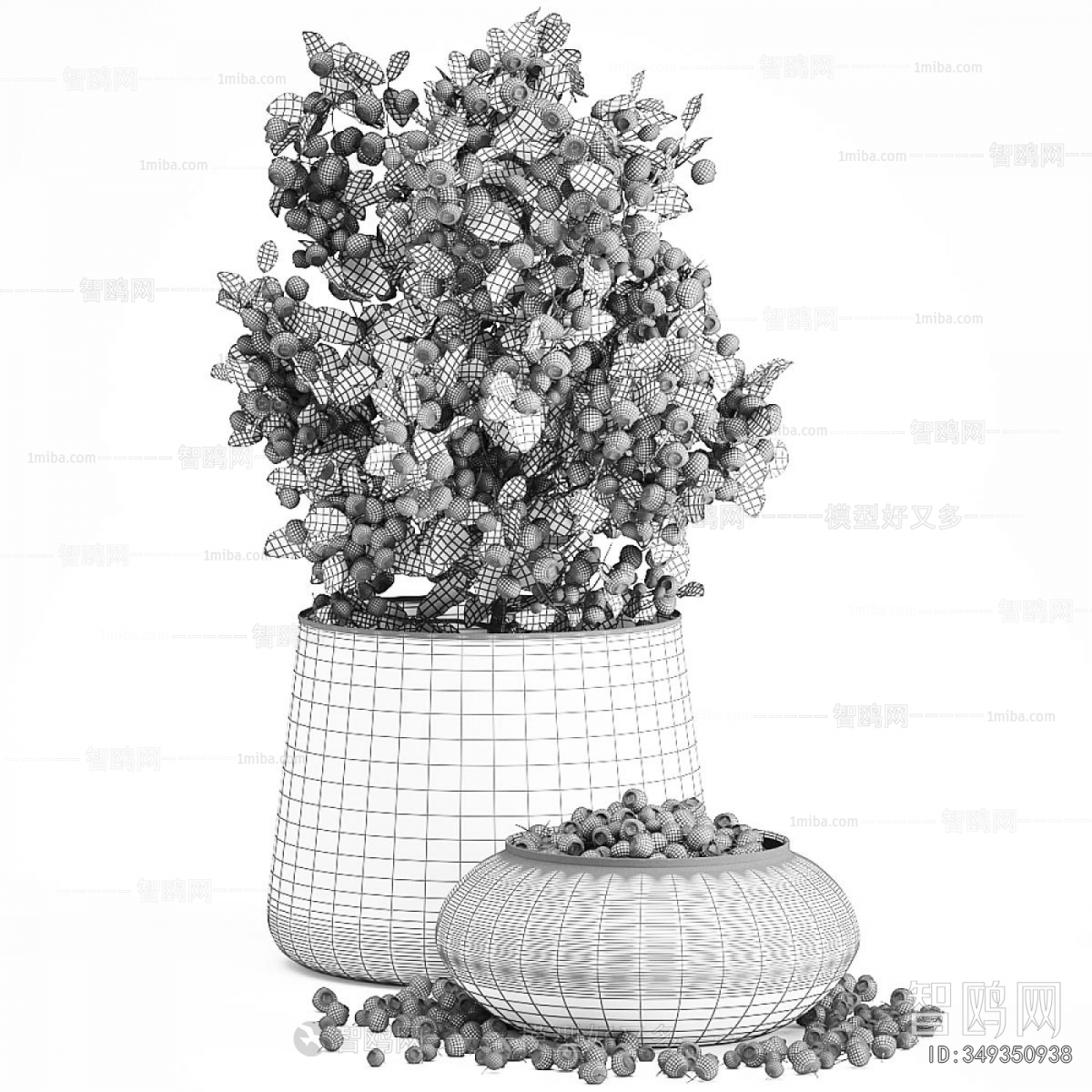 Modern Flowers