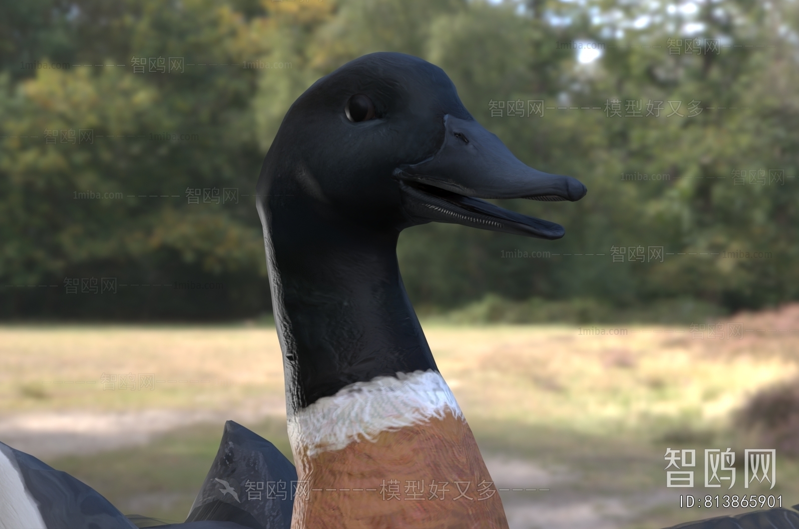 Modern Poultry Animal