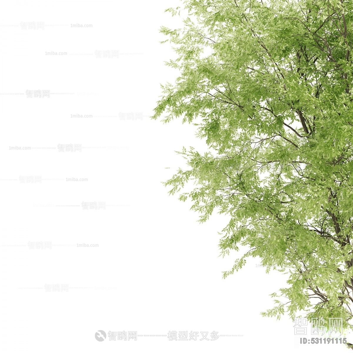 Modern Shrubbery