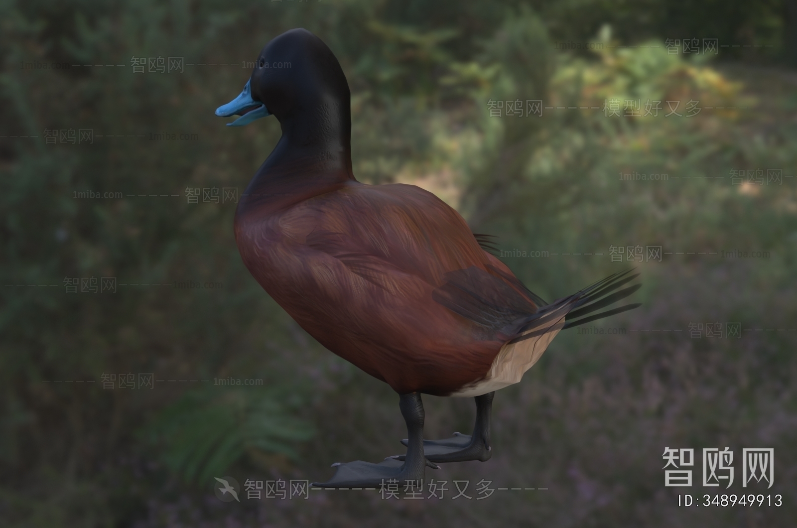 Modern Poultry Animal