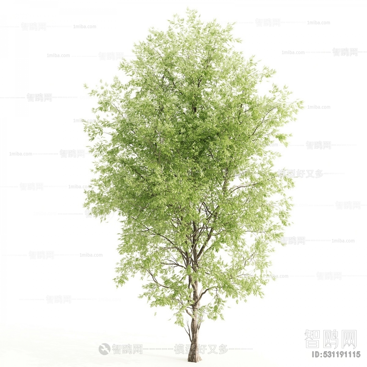 Modern Shrubbery