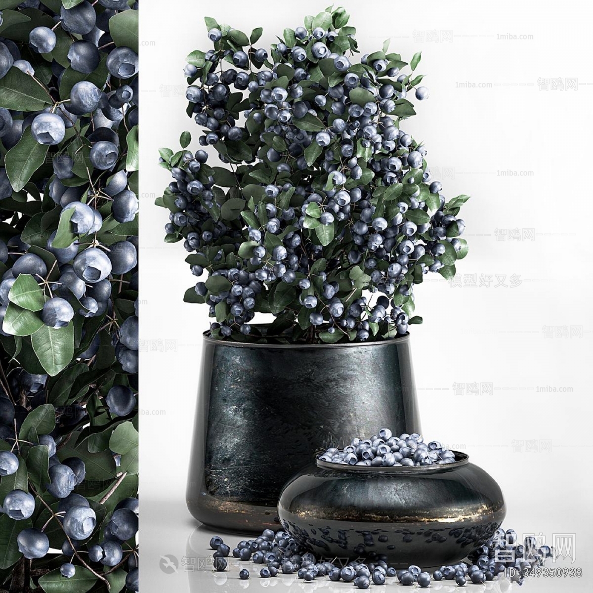 Modern Flowers