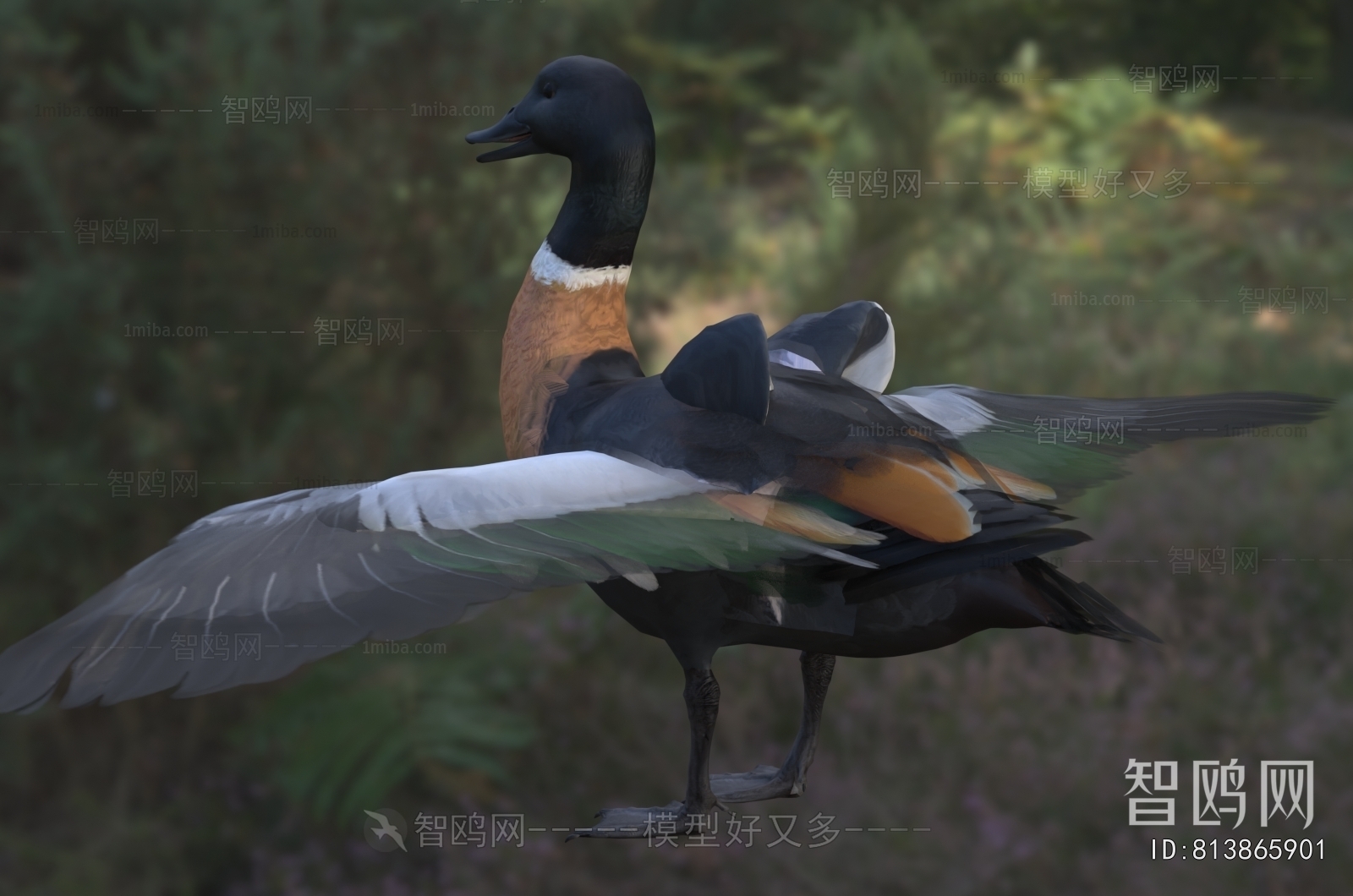 Modern Poultry Animal