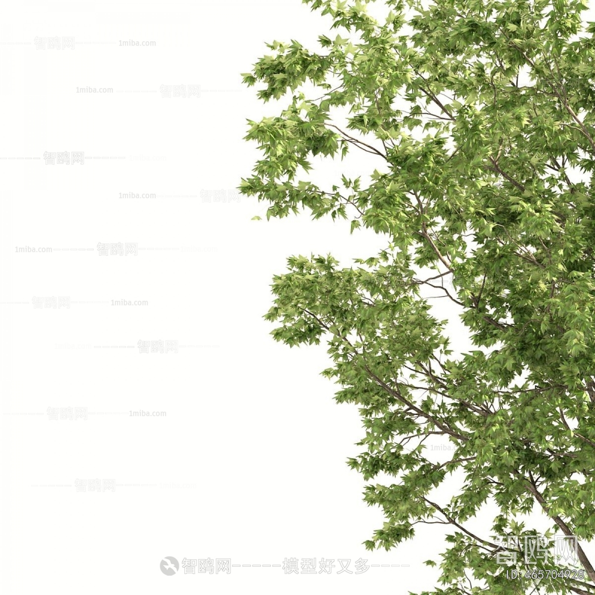Modern Shrubbery