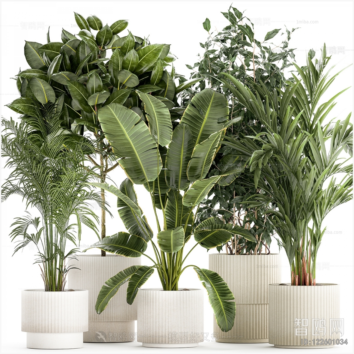 Modern Potted Green Plant