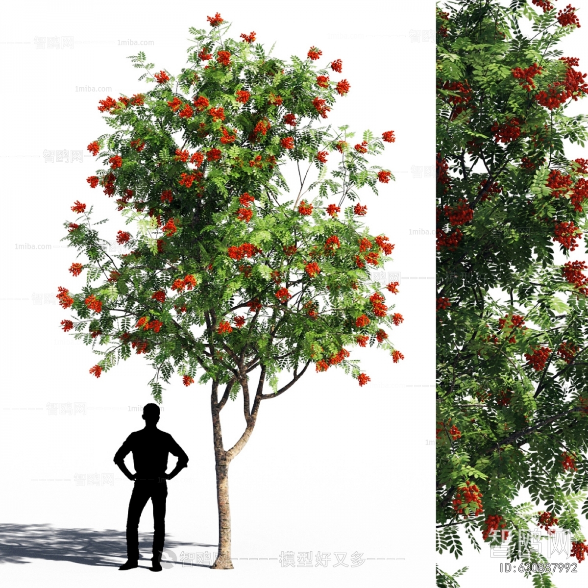Modern Tree