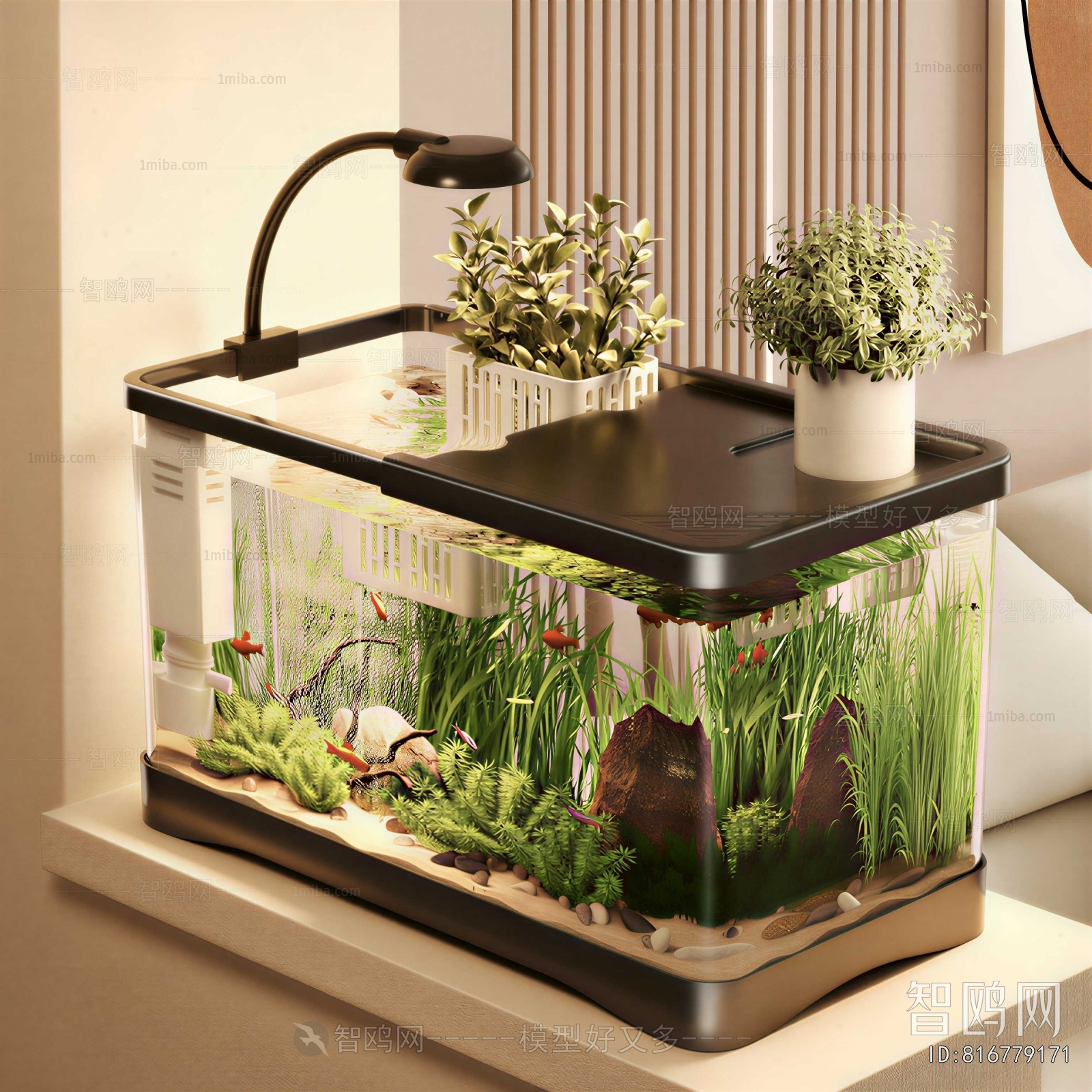 Modern Fish Tank