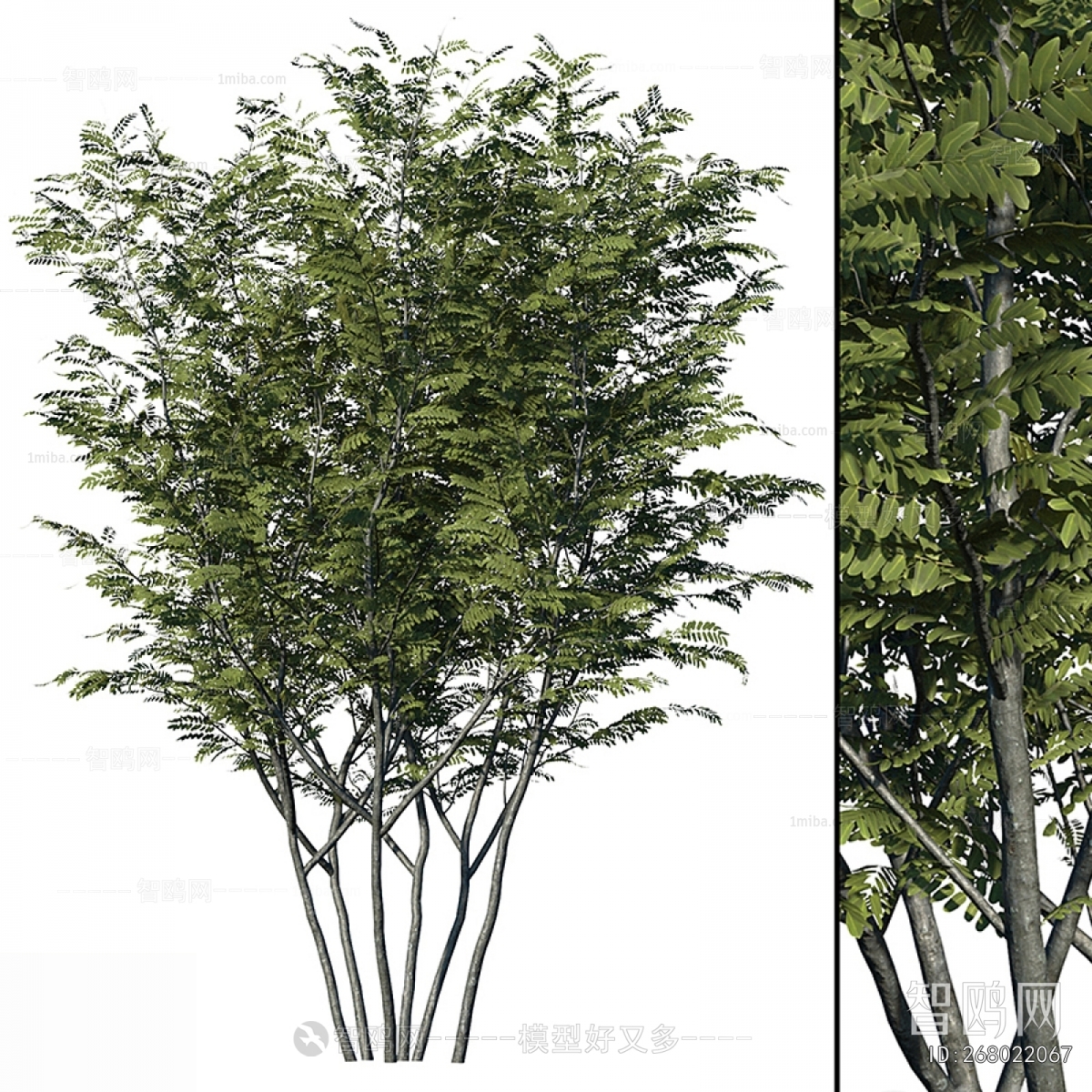 Modern Tree