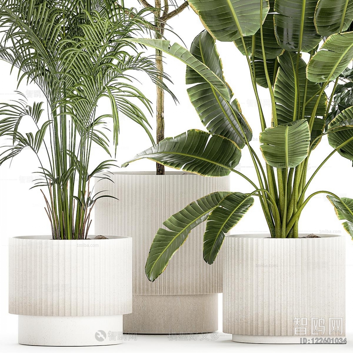 Modern Potted Green Plant