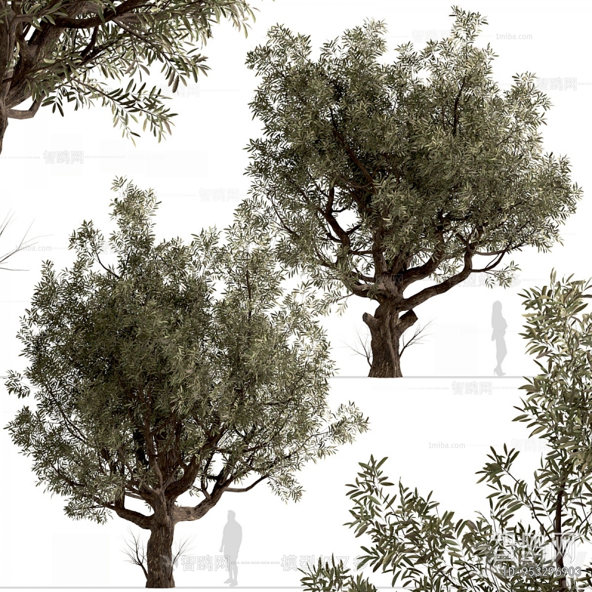Modern Tree