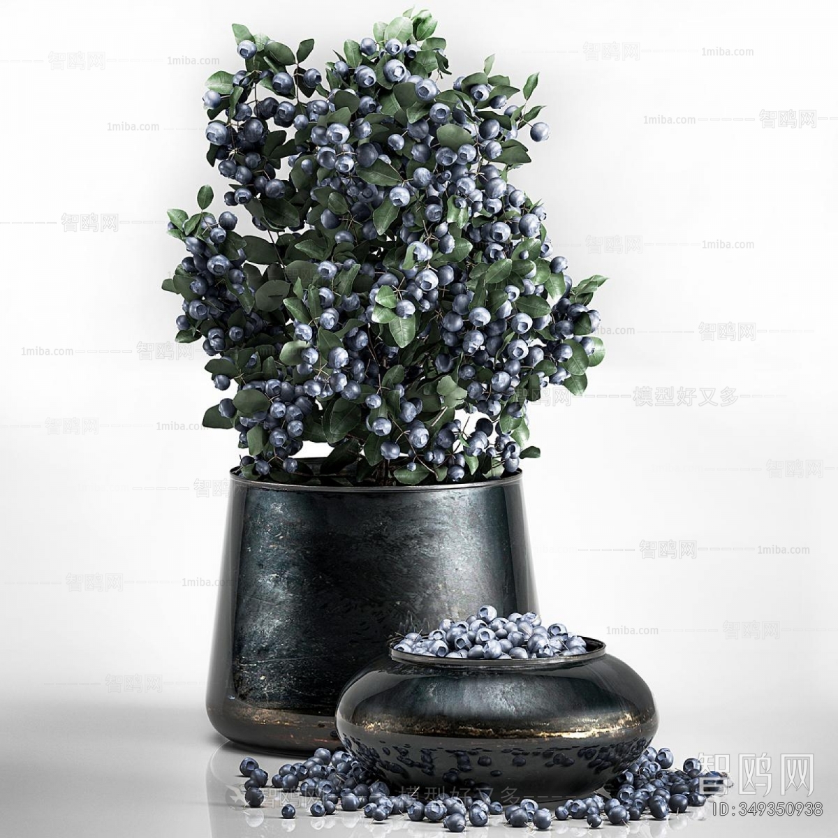 Modern Flowers