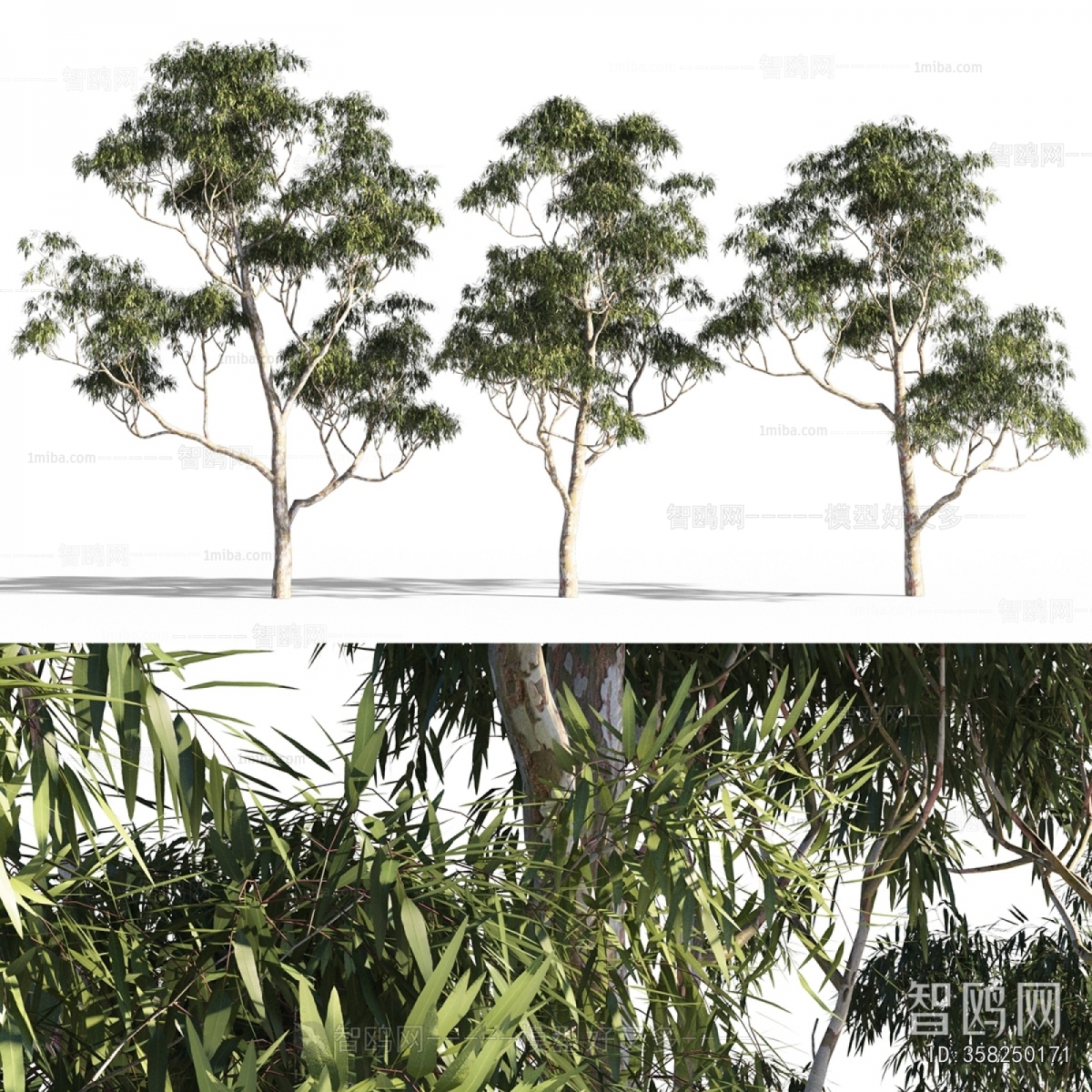 Modern Bamboo