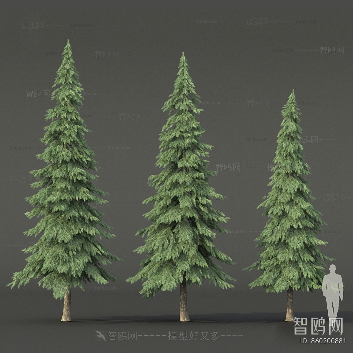Modern Tree