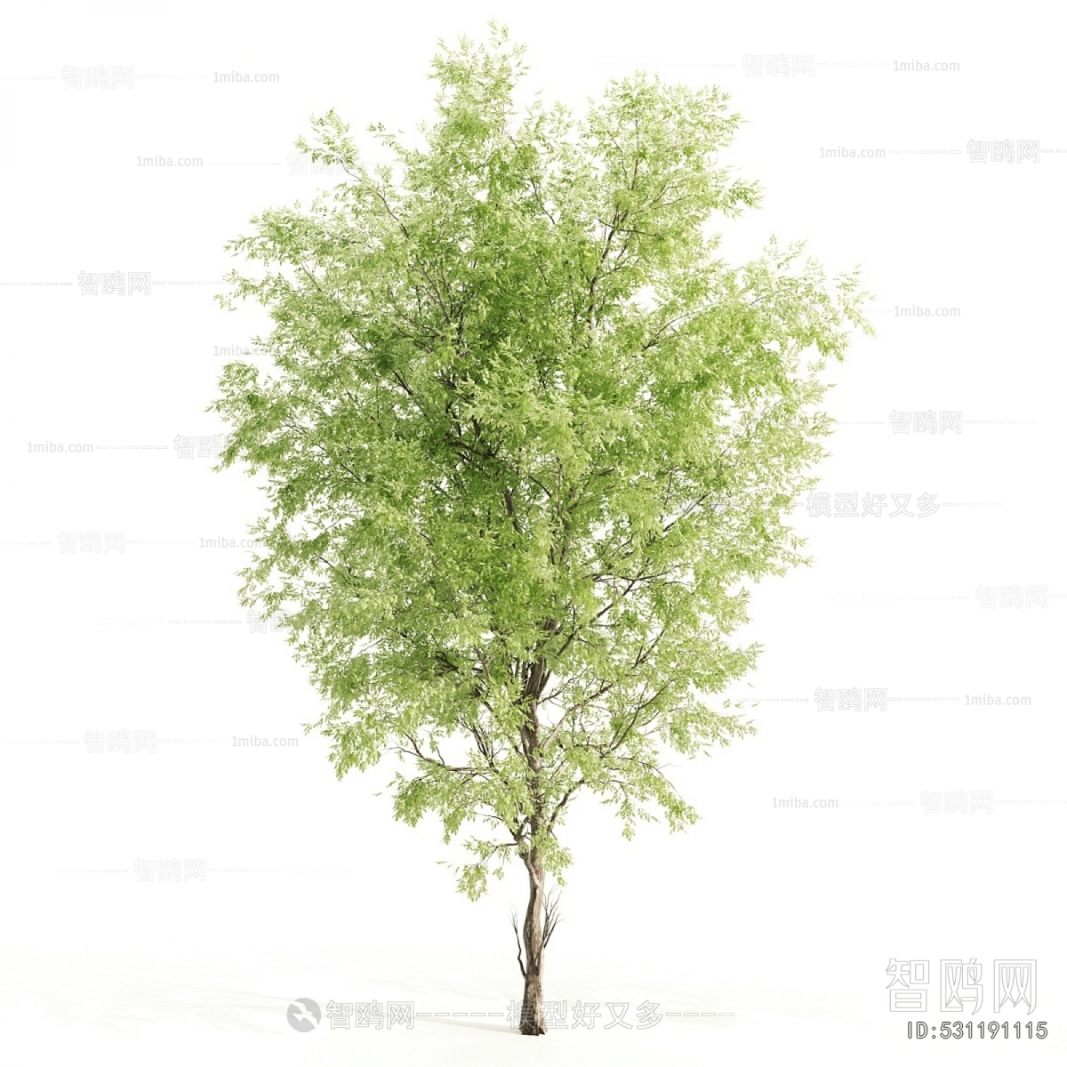 Modern Shrubbery