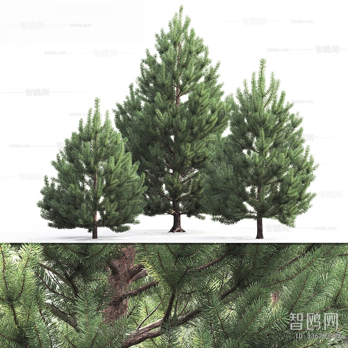 Modern Tree